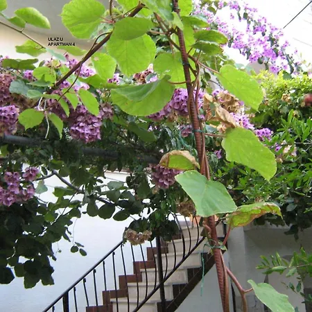 Okrug Gornji 11231a Daire